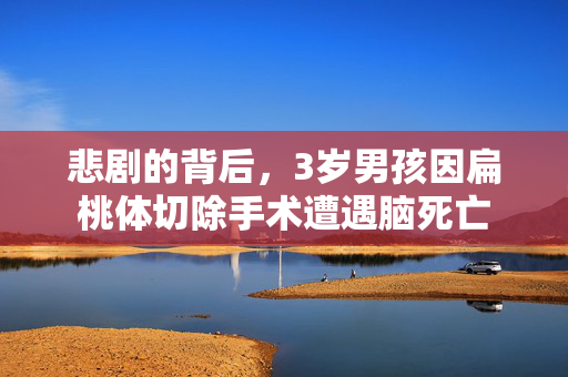 悲剧的背后，3岁男孩因扁桃体切除手术遭遇脑死亡
