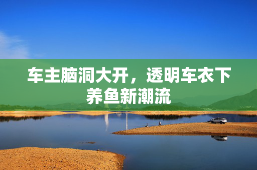 车主脑洞大开，透明车衣下养鱼新潮流
