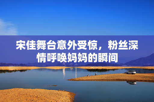 宋佳舞台意外受惊，粉丝深情呼唤妈妈的瞬间