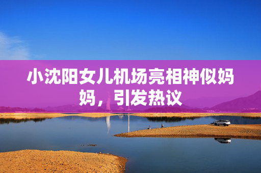 小沈阳女儿机场亮相神似妈妈，引发热议