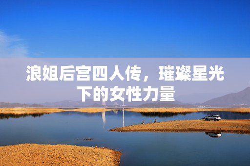 浪姐后宫四人传，璀璨星光下的女性力量