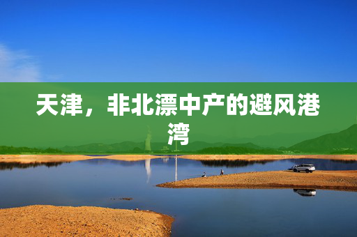 天津，非北漂中产的避风港湾