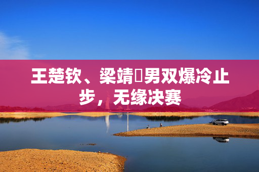 王楚钦、梁靖崑男双爆冷止步，无缘决赛