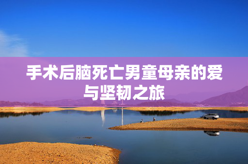手术后脑死亡男童母亲的爱与坚韧之旅