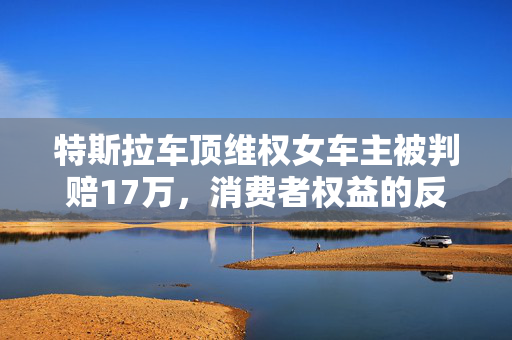 特斯拉车顶维权女车主被判赔17万，消费者权益的反思与探讨