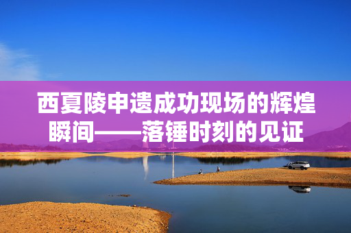 西夏陵申遗成功现场的辉煌瞬间——落锤时刻的见证