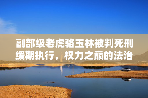 副部级老虎骆玉林被判死刑缓期执行，权力之巅的法治审判