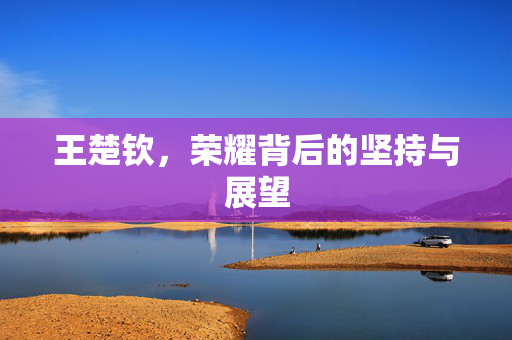 王楚钦，荣耀背后的坚持与展望