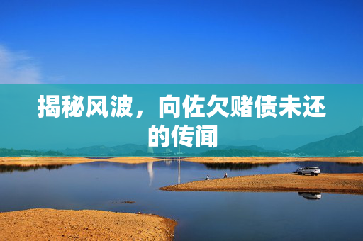 揭秘风波，向佐欠赌债未还的传闻