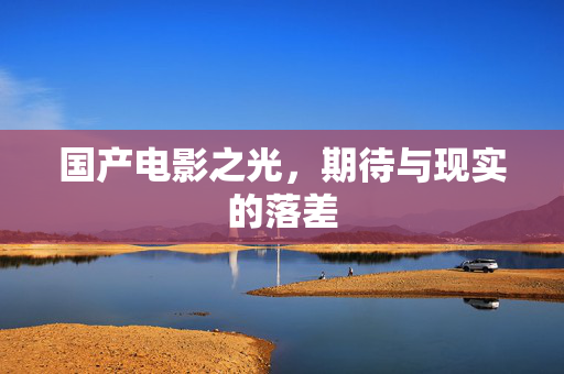 国产电影之光，期待与现实的落差