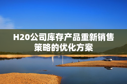 H20公司库存产品重新销售策略的优化方案