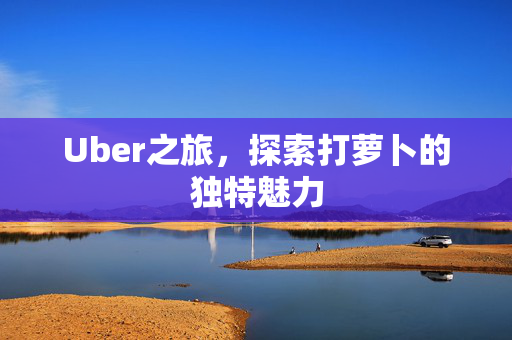 Uber之旅，探索打萝卜的独特魅力