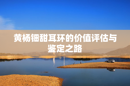 黄杨钿甜耳环的价值评估与鉴定之路