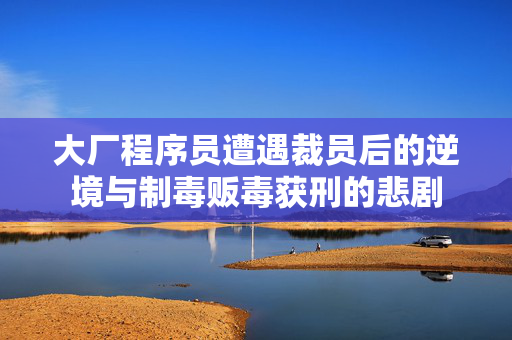 大厂程序员遭遇裁员后的逆境与制毒贩毒获刑的悲剧