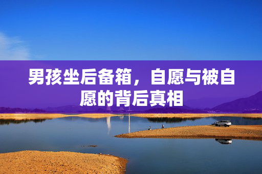 男孩坐后备箱，自愿与被自愿的背后真相