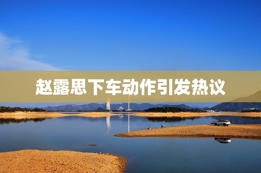 赵露思下车动作引发热议