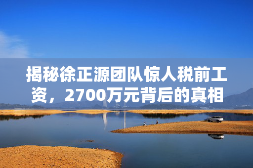 揭秘徐正源团队惊人税前工资，2700万元背后的真相