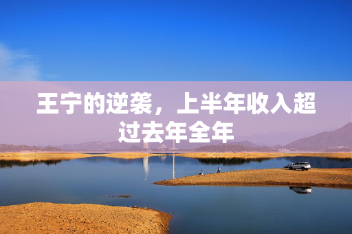 王宁的逆袭，上半年收入超过去年全年