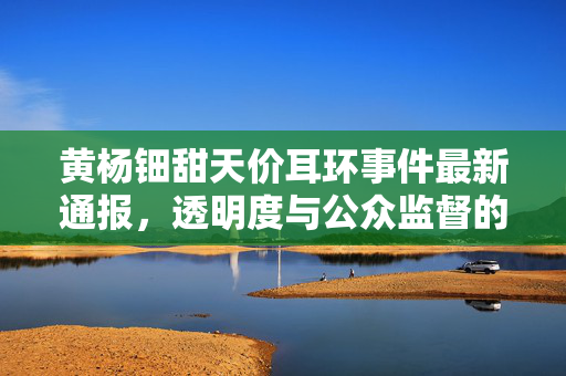 黄杨钿甜天价耳环事件最新通报，透明度与公众监督的重要性
