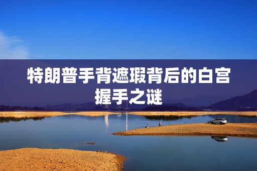 特朗普手背遮瑕背后的白宫握手之谜