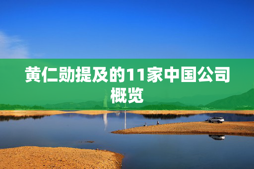 黄仁勋提及的11家中国公司概览