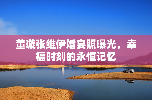 董璇张维伊婚宴照曝光，幸福时刻的永恒记忆