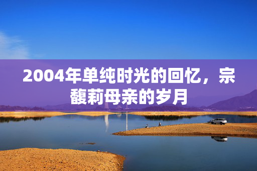 2004年单纯时光的回忆，宗馥莉母亲的岁月