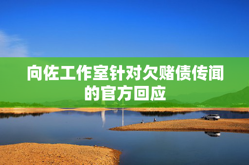 向佐工作室针对欠赌债传闻的官方回应