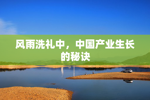 风雨洗礼中，中国产业生长的秘诀