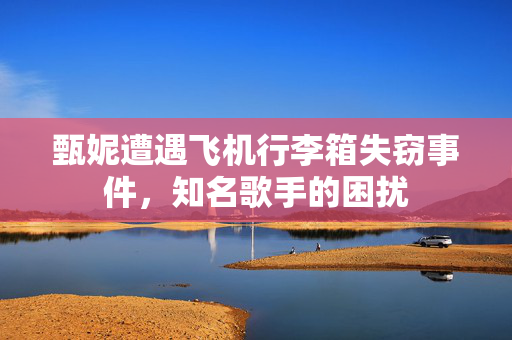 甄妮遭遇飞机行李箱失窃事件，知名歌手的困扰