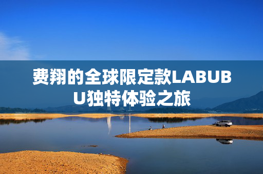 费翔的全球限定款LABUBU独特体验之旅