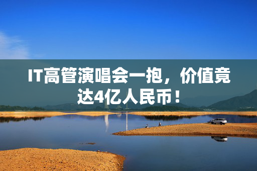 IT高管演唱会一抱，价值竟达4亿人民币！