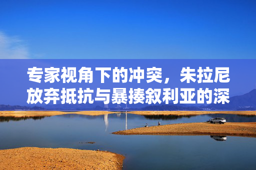 专家视角下的冲突，朱拉尼放弃抵抗与暴揍叙利亚的深层原因