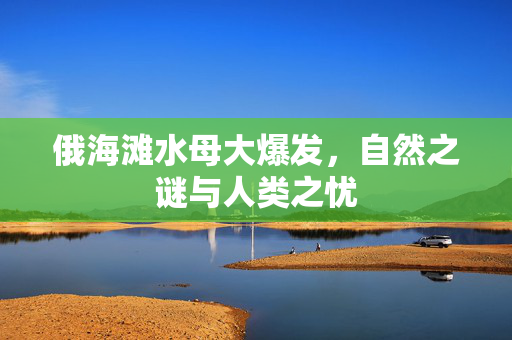 俄海滩水母大爆发，自然之谜与人类之忧