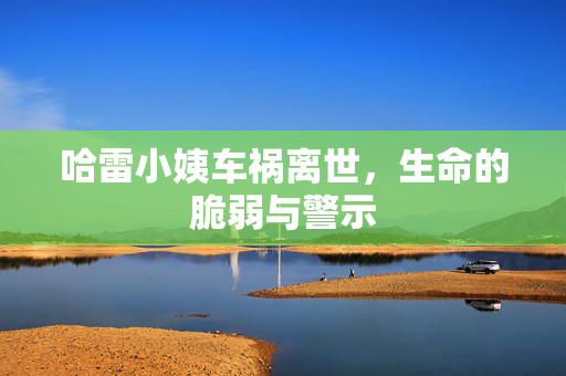 哈雷小姨车祸离世，生命的脆弱与警示