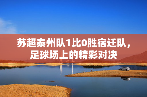 苏超泰州队1比0胜宿迁队，足球场上的精彩对决
