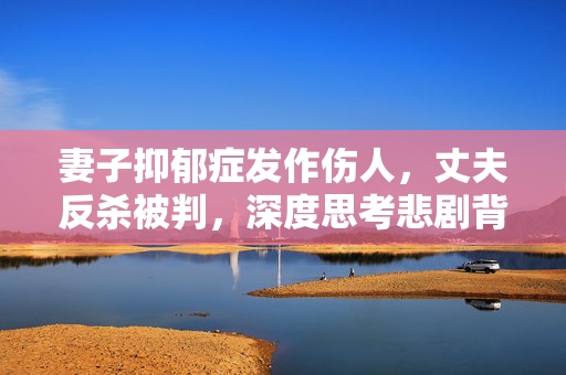 妻子抑郁症发作伤人，丈夫反杀被判，深度思考悲剧背后的责任与挑战