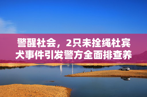 警醒社会，2只未拴绳杜宾犬事件引发警方全面排查养狗人