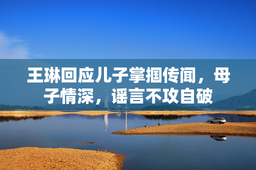 王琳回应儿子掌掴传闻，母子情深，谣言不攻自破