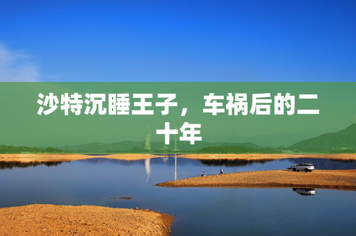 沙特沉睡王子，车祸后的二十年
