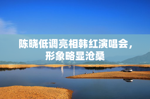 陈晓低调亮相韩红演唱会，形象略显沧桑