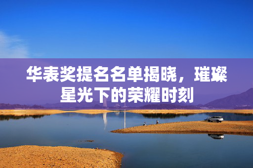 华表奖提名名单揭晓，璀璨星光下的荣耀时刻