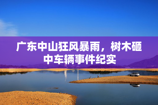 广东中山狂风暴雨，树木砸中车辆事件纪实