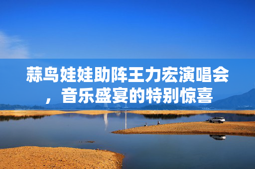 蒜鸟娃娃助阵王力宏演唱会，音乐盛宴的特别惊喜