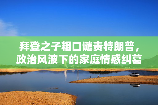 拜登之子粗口谴责特朗普，政治风波下的家庭情感纠葛