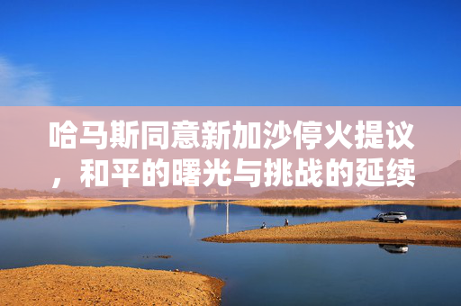 哈马斯同意新加沙停火提议，和平的曙光与挑战的延续