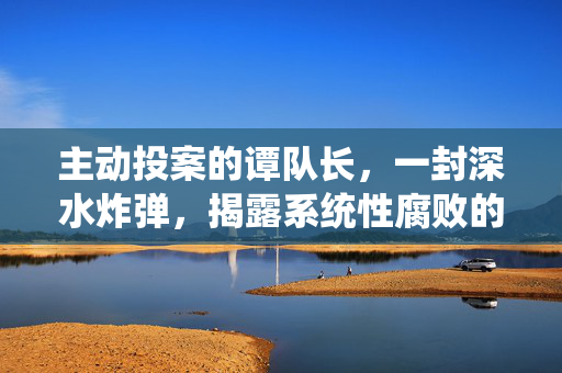 主动投案的谭队长，一封深水炸弹，揭露系统性腐败的冰山一角