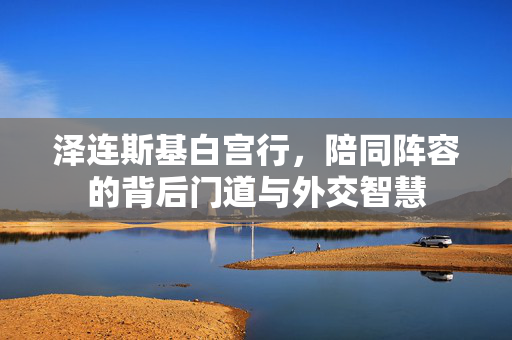 泽连斯基白宫行，陪同阵容的背后门道与外交智慧