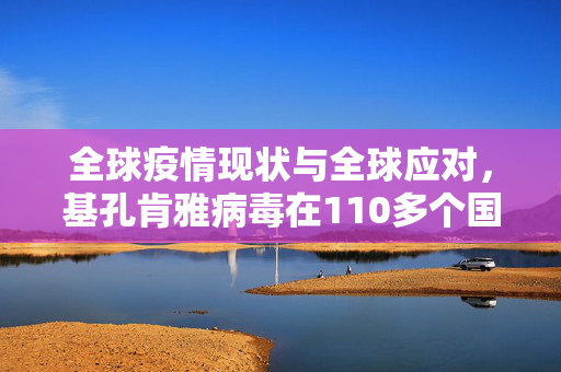 全球疫情现状与全球应对，基孔肯雅病毒在110多个国家的传播情况