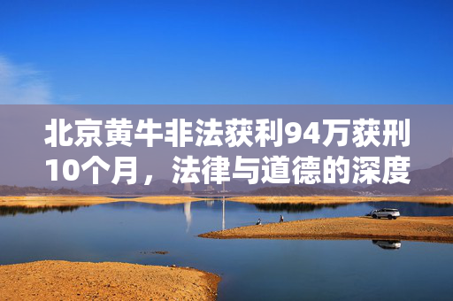 北京黄牛非法获利94万获刑10个月，法律与道德的深度反思
